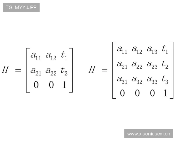 劳塔罗关键战射术稳定性与转化效率解析 劳塔罗关键战射术稳定性与转化效率解析